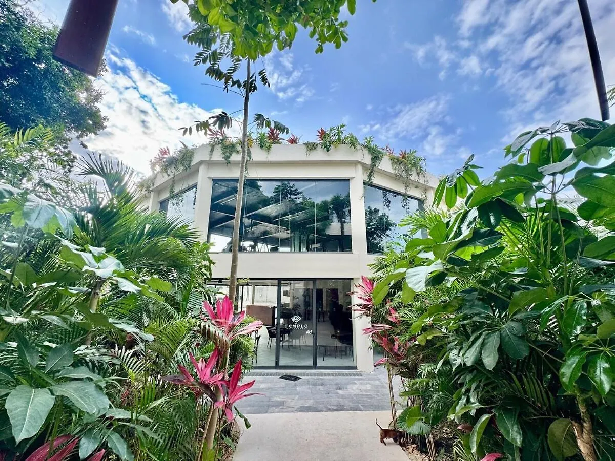 Beautiful Loft Minutes From The Sea! Διαμέρισμα Τουλούμ 0*,  Μεξικό
